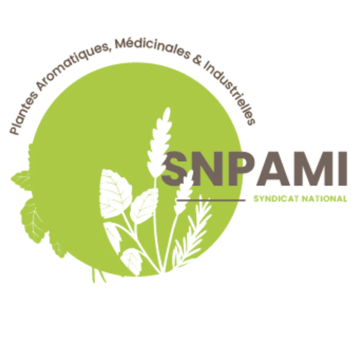 SNPAMI